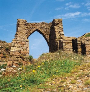 Руины замка Гросне